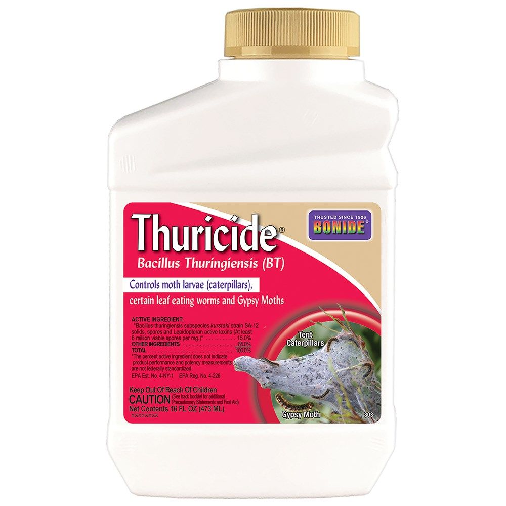Bonide BT Thuricide Concentrate - 16 oz