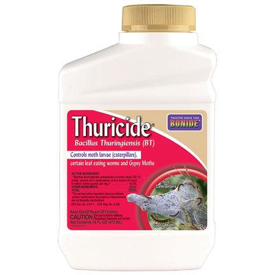 Bonide BT Thuricide Concentrate - 16 oz