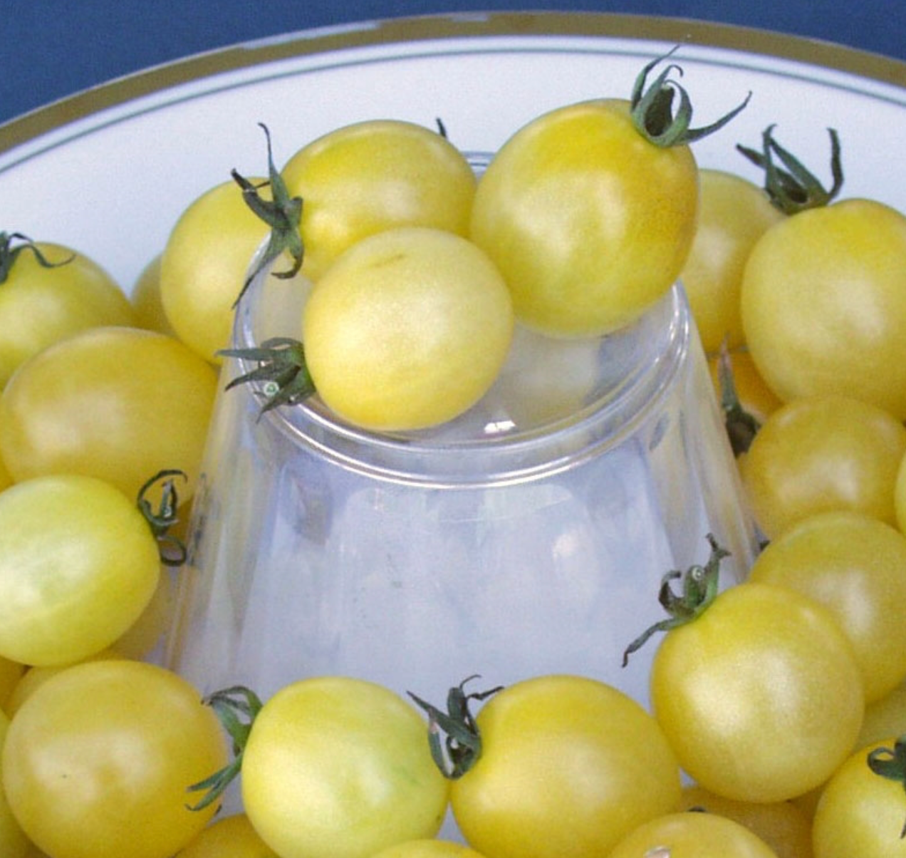 Tomato &#39;Snow White Ivory Cherry&#39; - 4&quot;
