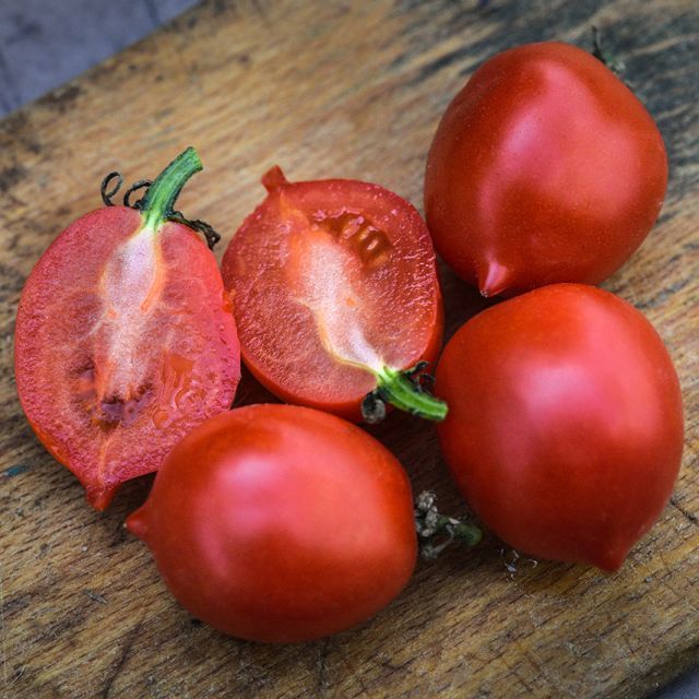 Tomato &#39;Principe Borghese&#39; - 4&quot; (AR)