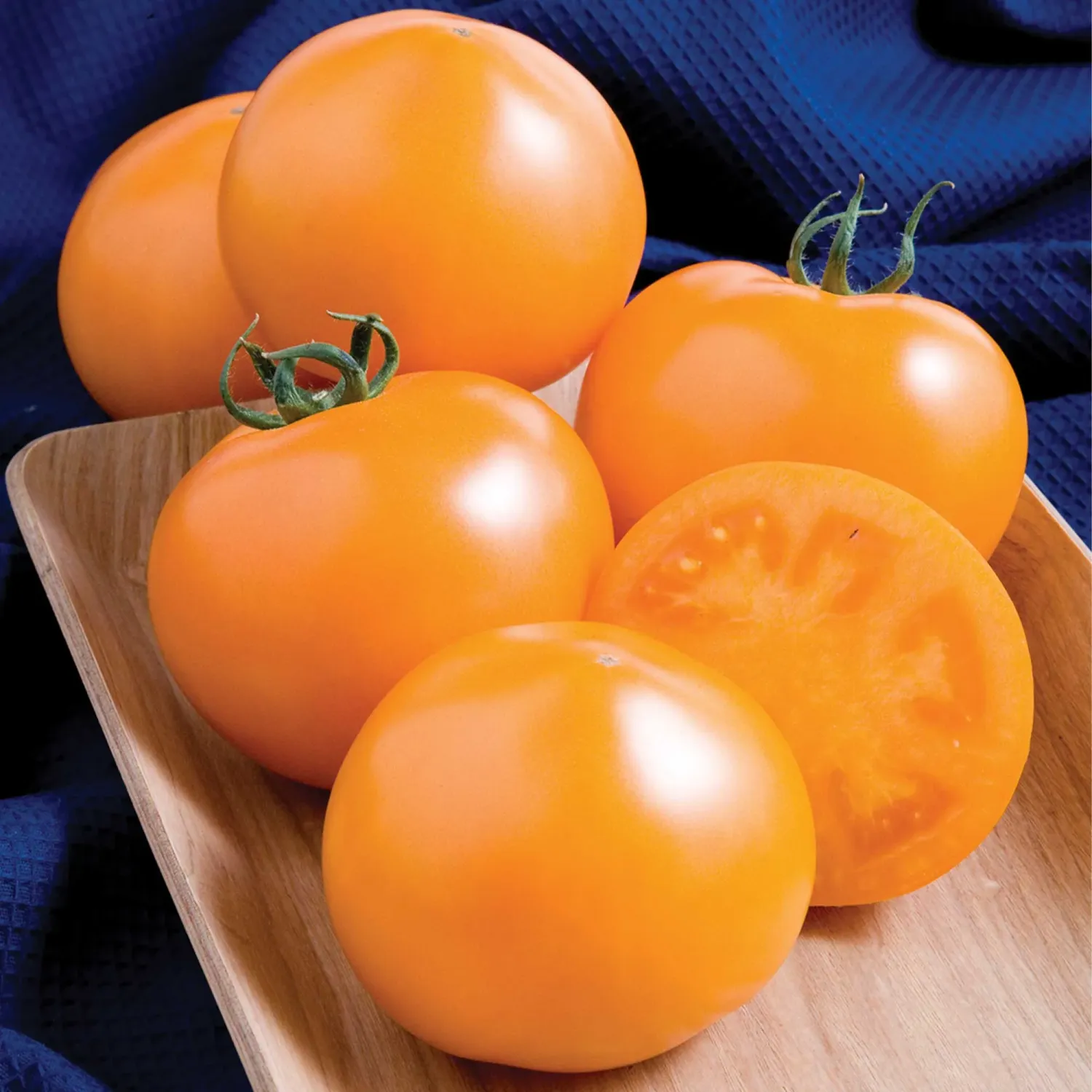 Tomato &#39;Momotaro Gold&#39; - 4&quot;