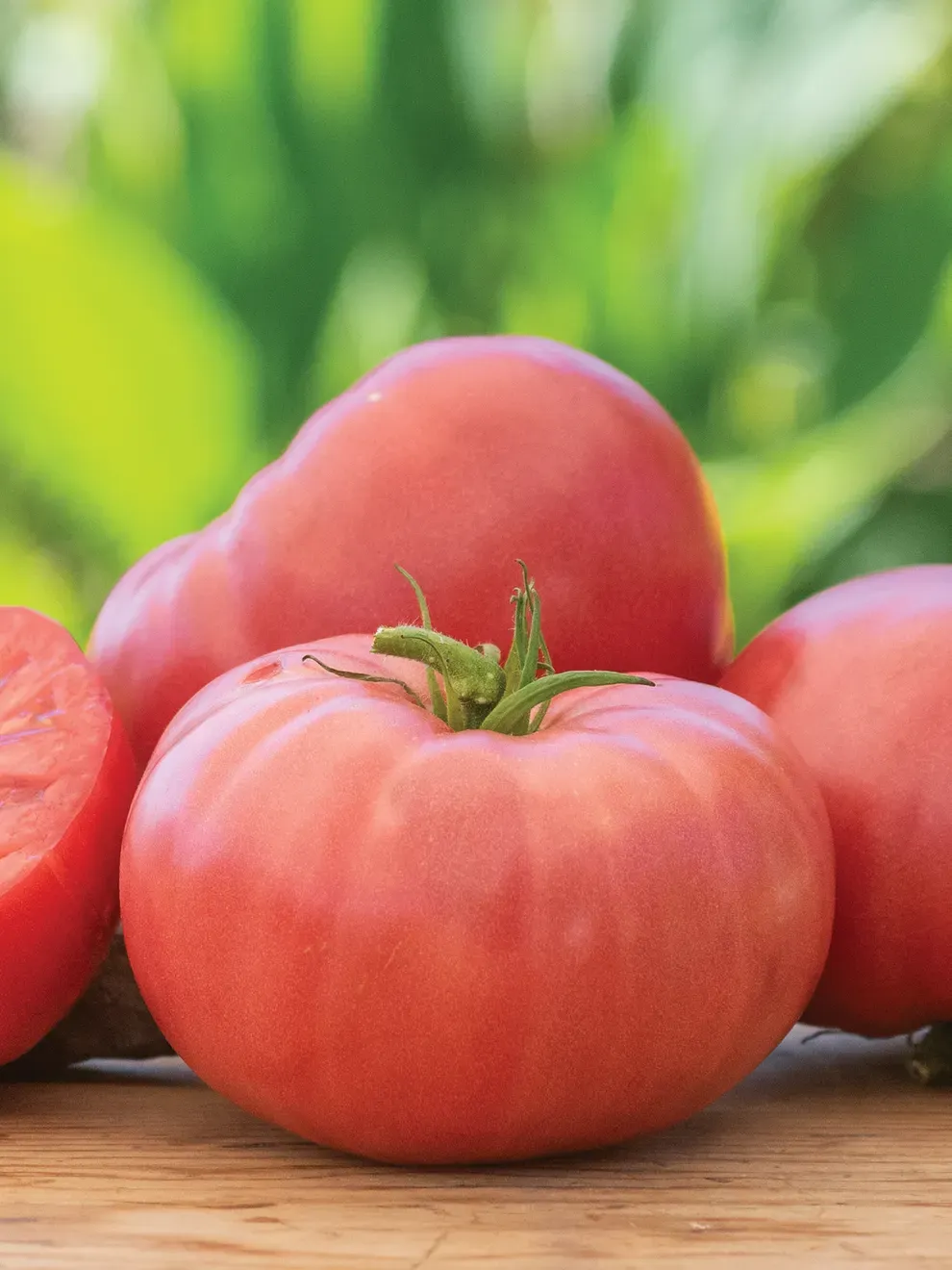 Tomato &#39;Arkansas Traveler&#39; - 4&quot;