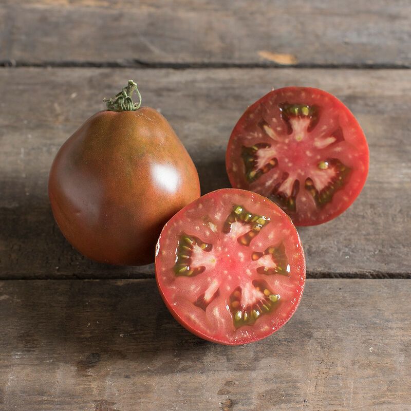 Tomato &#39;Japanese Black Trifele&#39; - 4&quot; (AR)
