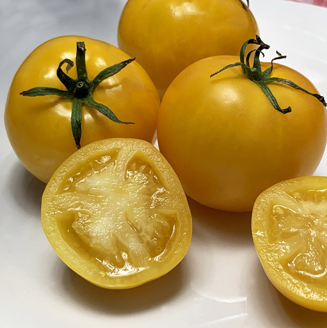 Tomato &#39;Taxi&#39; OG - 4&quot;
