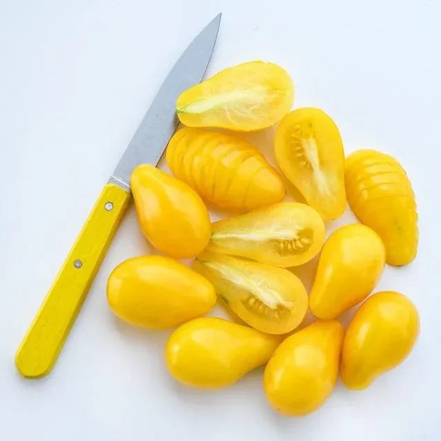 Tomato &#39;Yellow Pear&#39; - 4&quot;