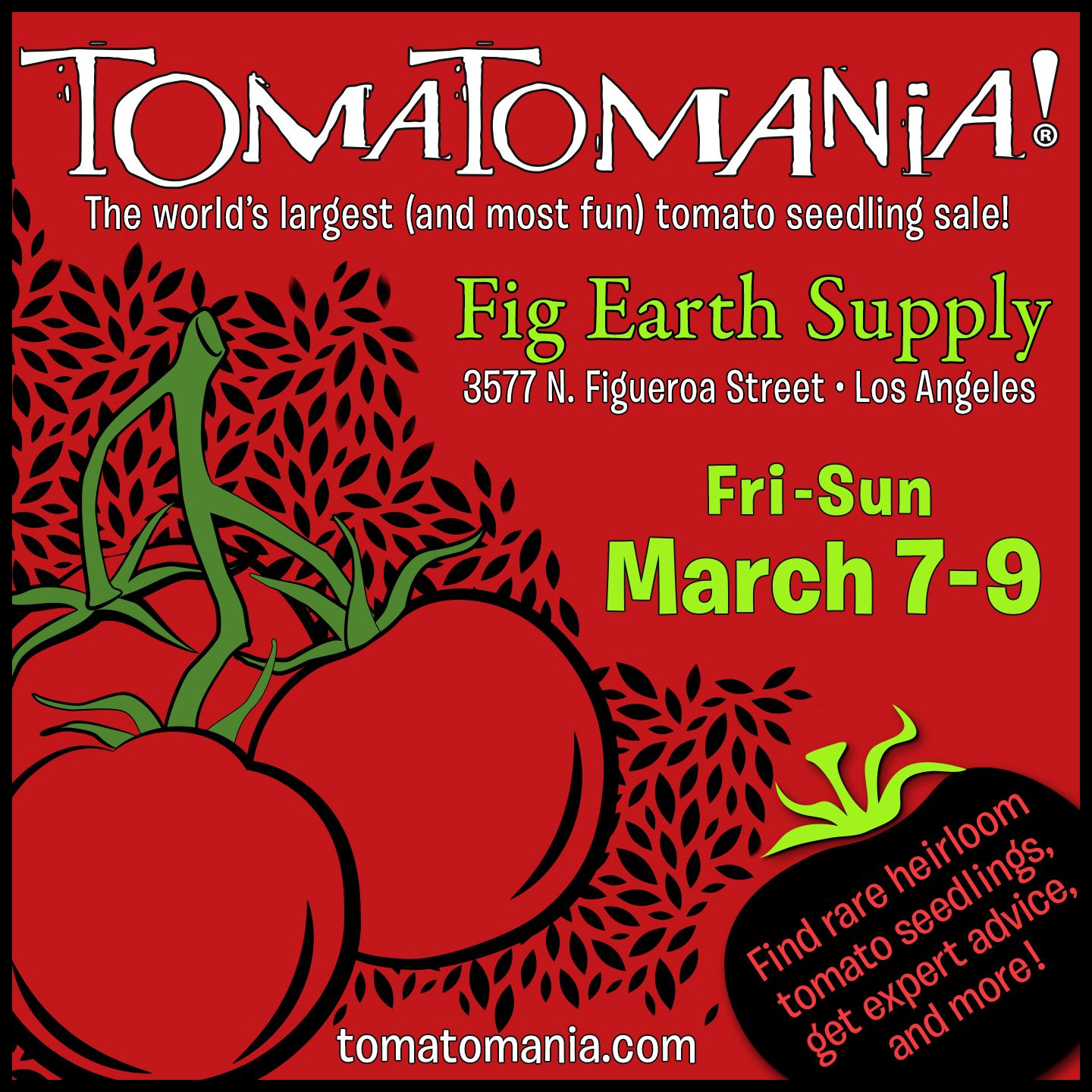 Tomatomania Tomato - 4&quot;