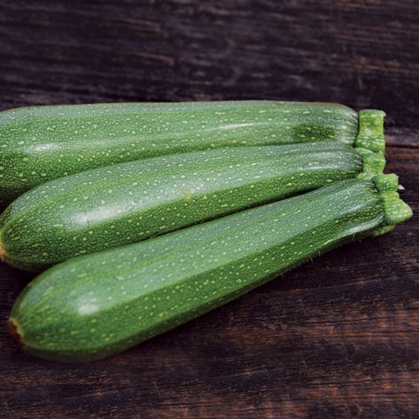 Zucchini &#39;Dark Green&#39; OG - 6pk