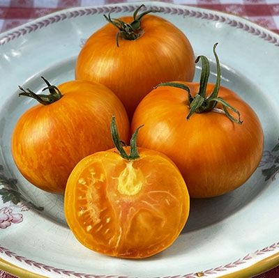 Tomato &#39;Lava Flow&#39; - 4&quot;