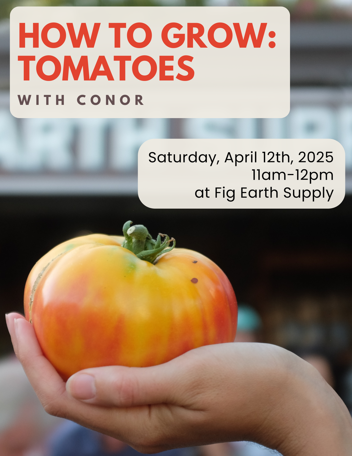 APR 12 2025: How To Grow Tomatoes with Conor