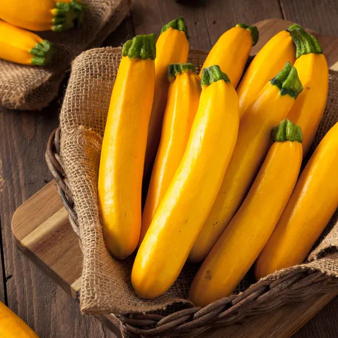 Zucchini &#39;Golden&#39; OG - 4&quot;