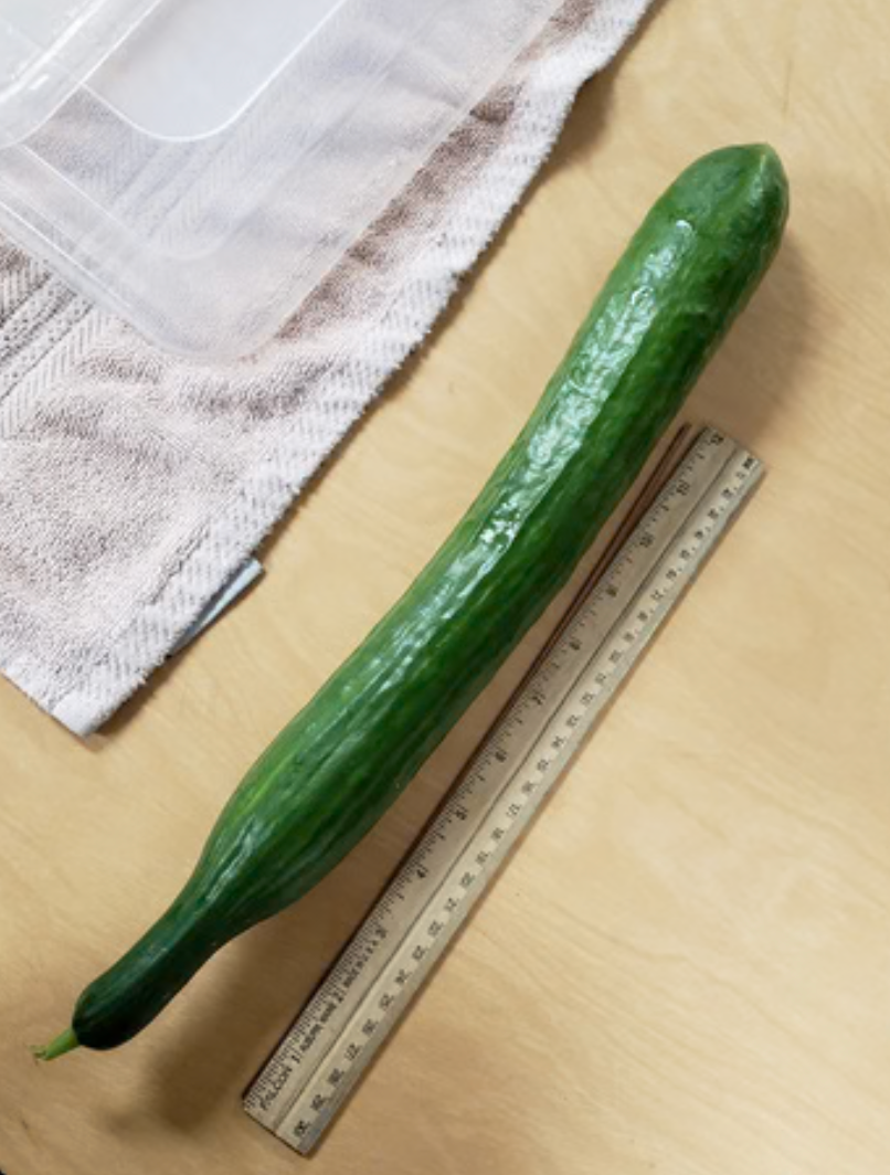 Cucumber &#39;English&#39; - 4&quot;