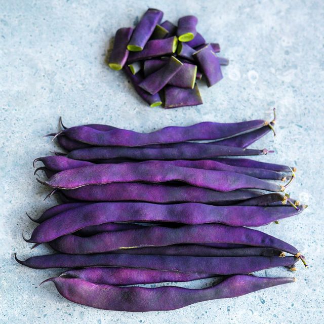 Pole Bean &#39;Purple Podded Pole&#39; OG - 6pk
