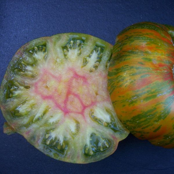 Tomato &#39;Berkeley Tie Die&#39; - 4&quot;