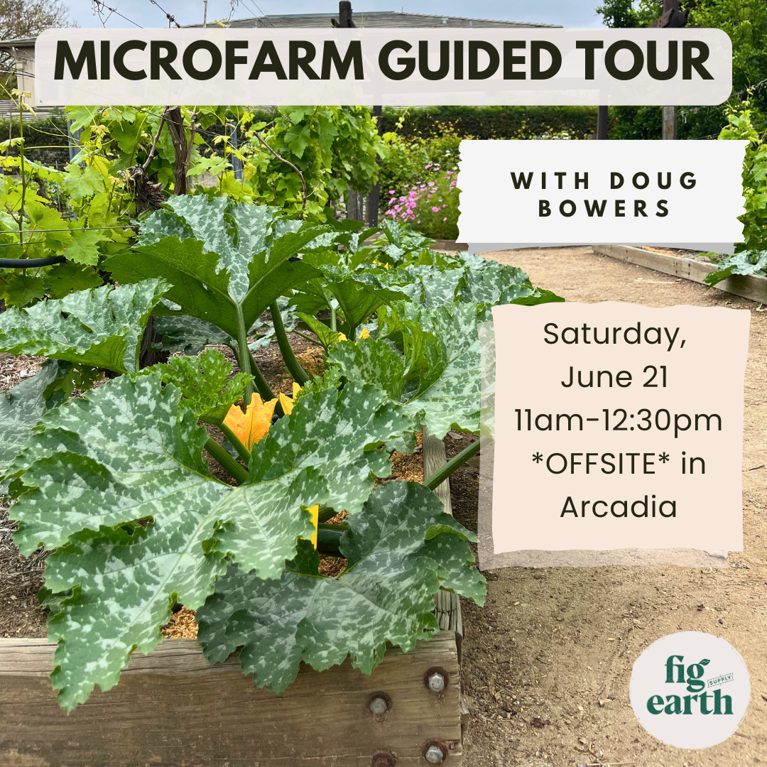 JUN 21: Microfarm Guided Tour