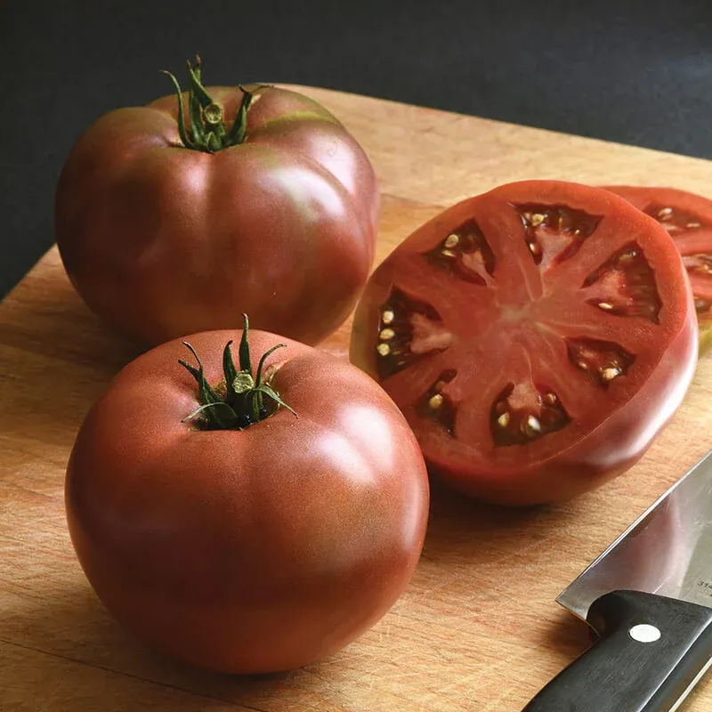 Tomato &#39;Dark Star&#39; - 4&quot;