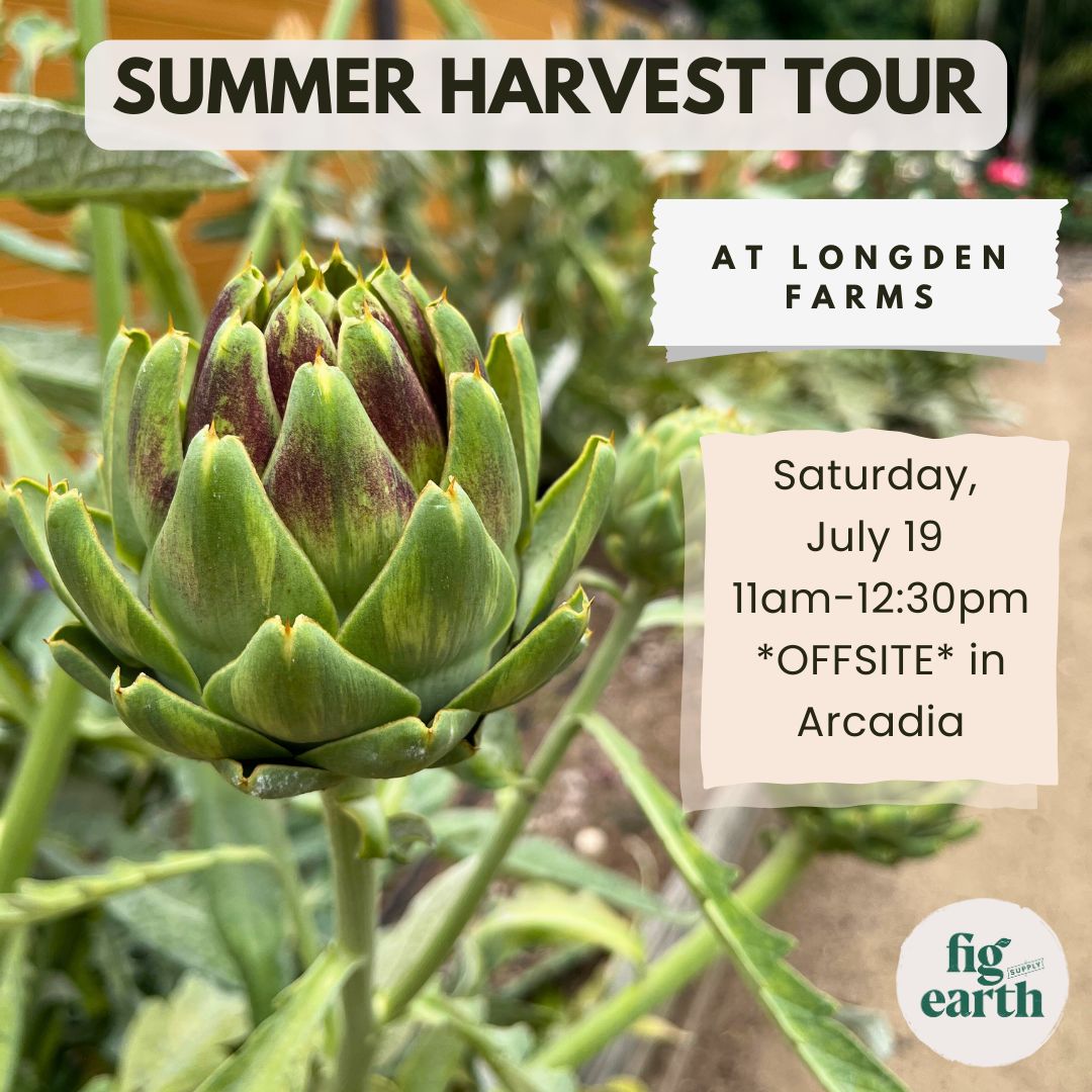 JUL 19: Summer Harvest Tour at Longden Farms