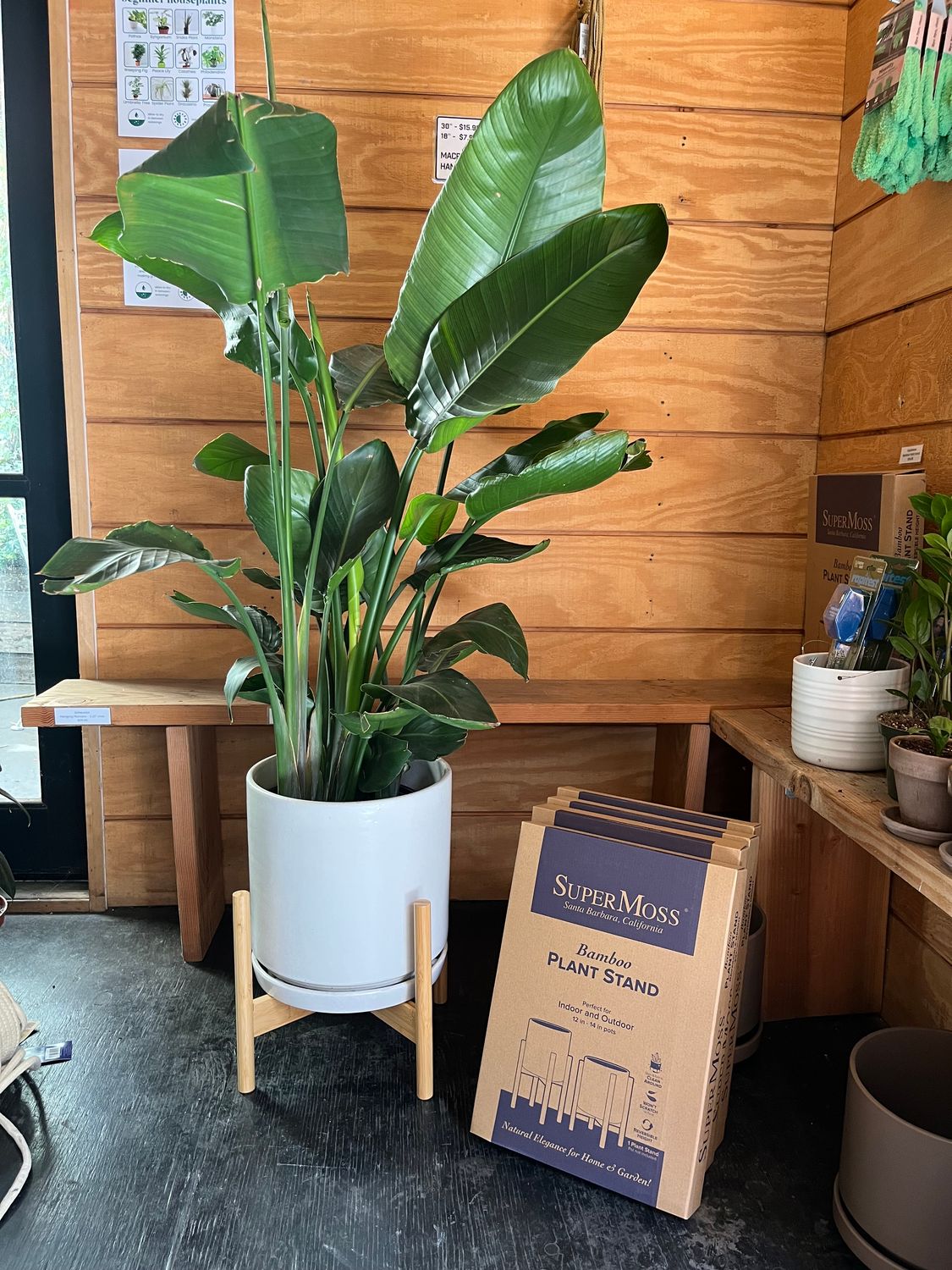 SuperMoss Bamboo Plant Stand