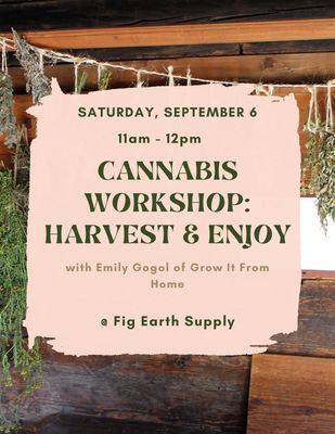 SEP 6 2025: Cannabis Harvest Workshop