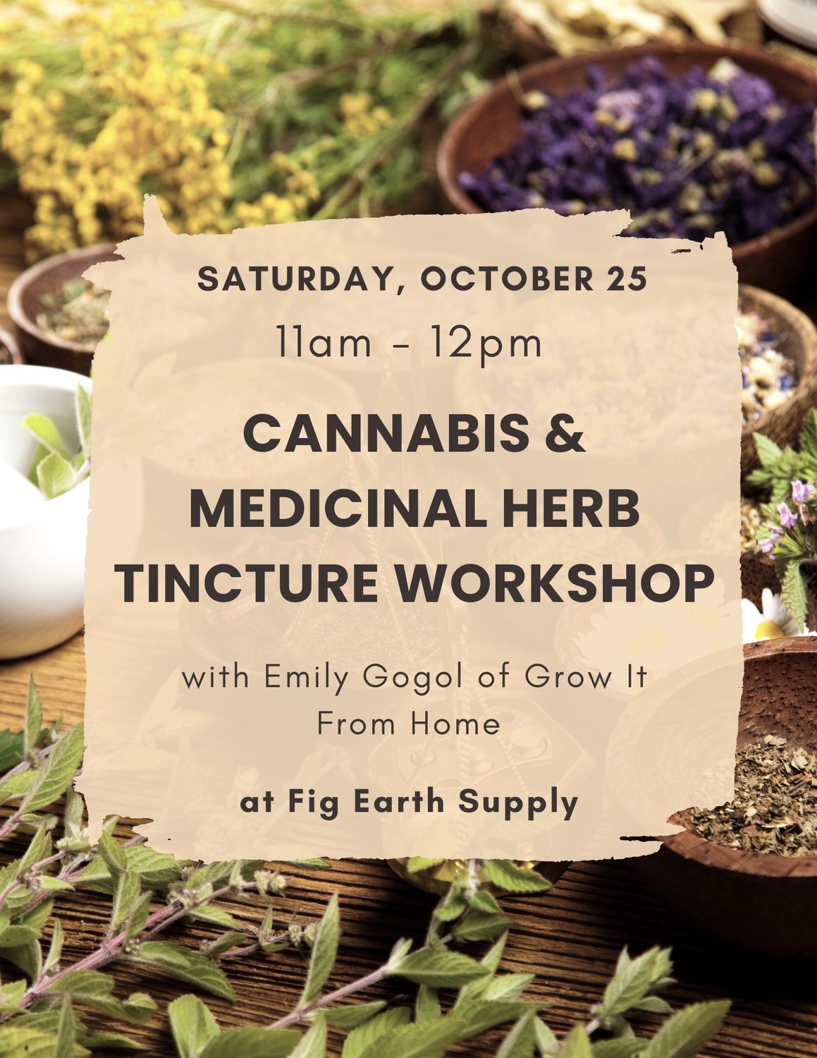 OCT 25 2025: Cannabis &amp; Medicinal Herb Tincture Workshop