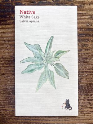 White Sage Seeds