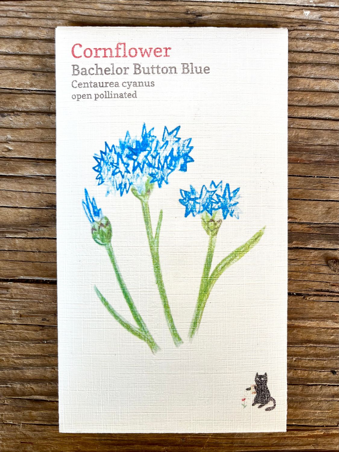 Bachelor Button Blue Cornflower Seeds