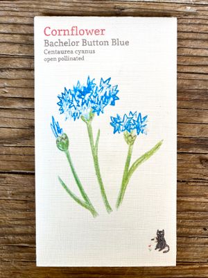 Bachelor Button Blue Cornflower Seeds