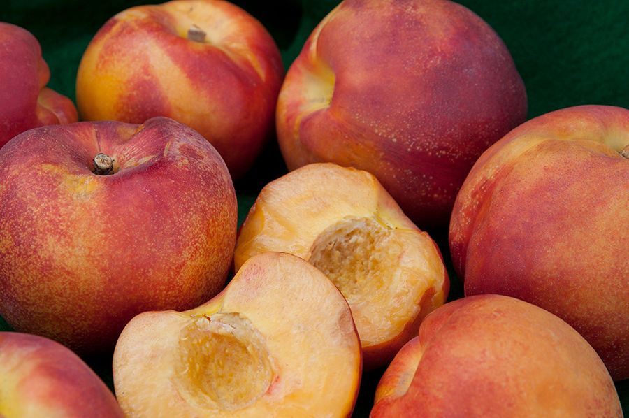 Nectarine 'Desert Delight' - Bare Root