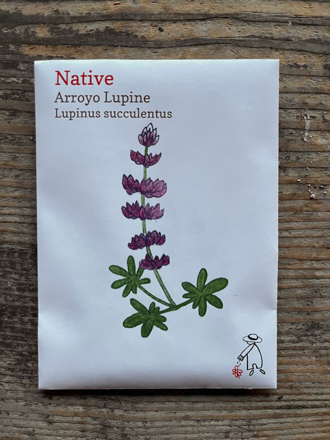 Arroyo Lupine Seeds
