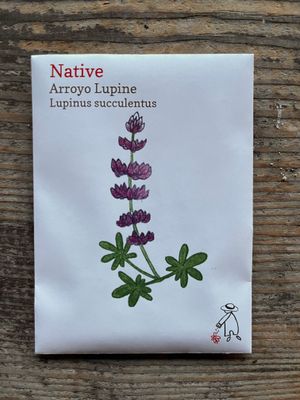 Arroyo Lupine Seeds