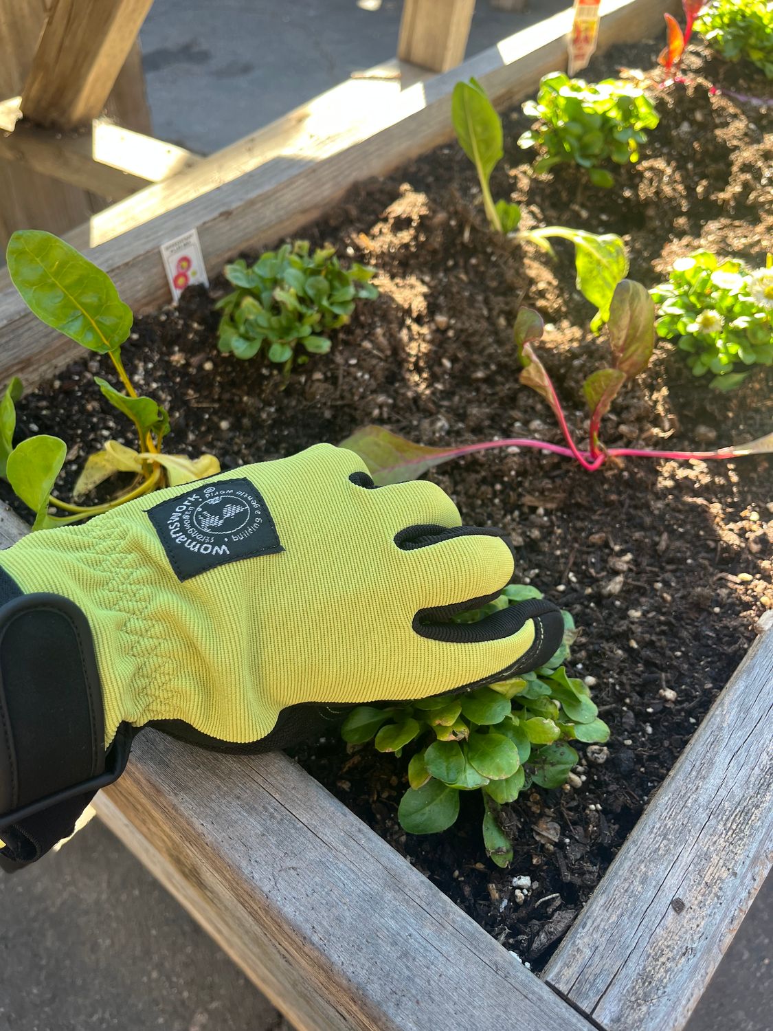 Womanswork Digger Glove - Green Medium