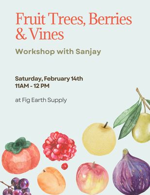 FEB 14 2026: Fruit Trees, Berries &amp; Vines Workshop with Sanjay