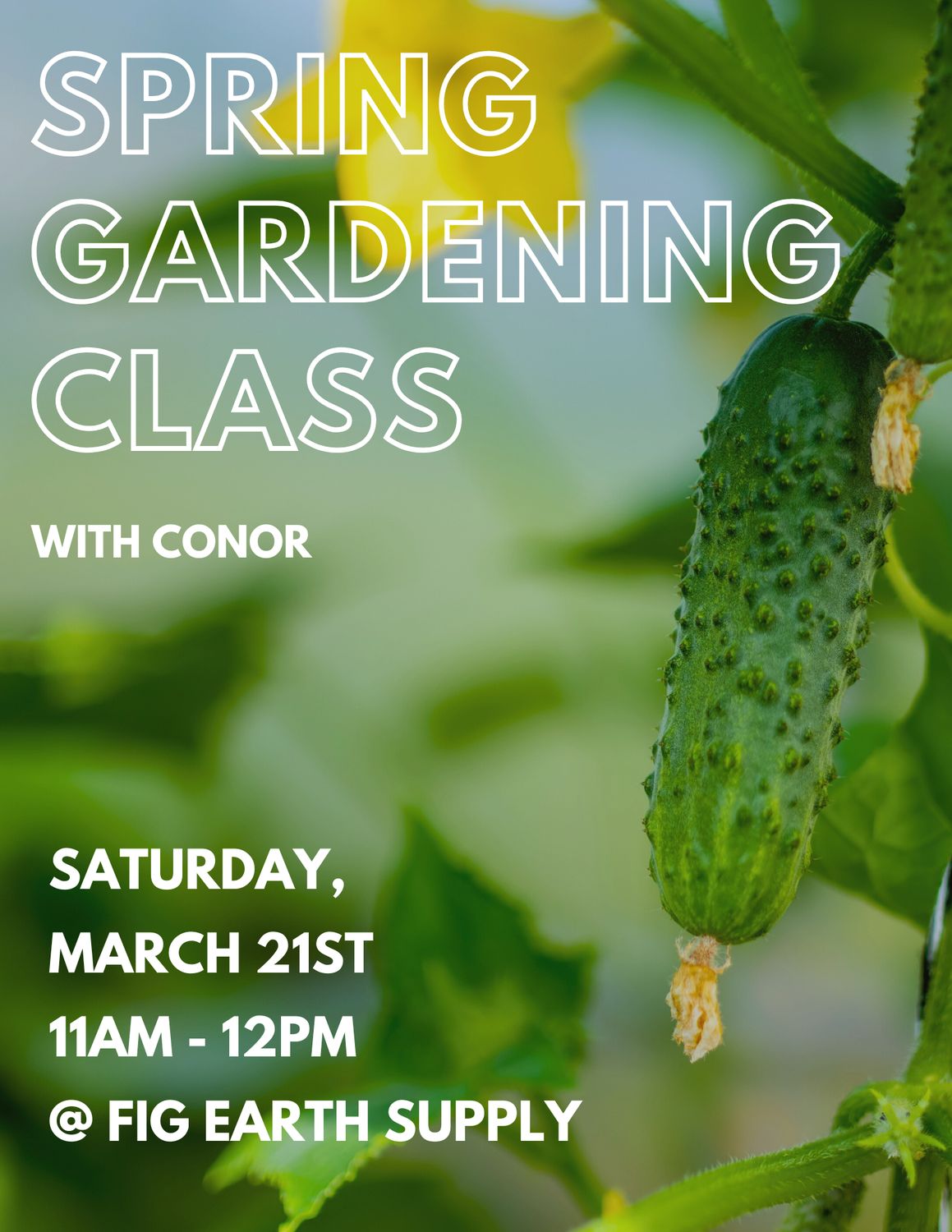 MAR 21 2026: Spring Gardening with Conor