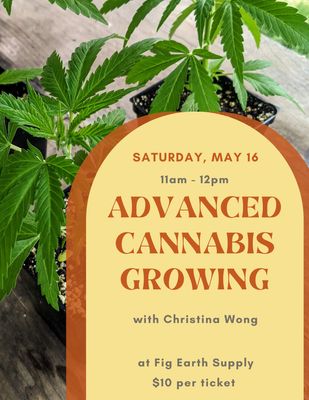 MAY 16 2026: Advanced Cannabis Growing with Christina Wong