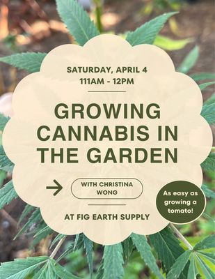 APR 4 2026: Growing Cannabis in the Garden with Christina Wong