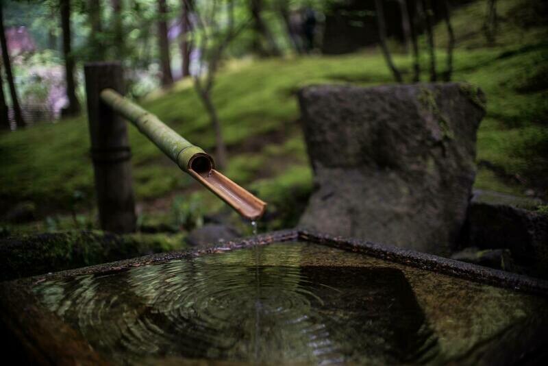 Moment of Zen Moment of Zen
