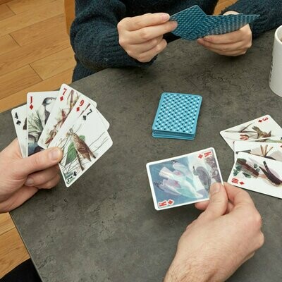 Kikkerland 3D Bird Playing Cards