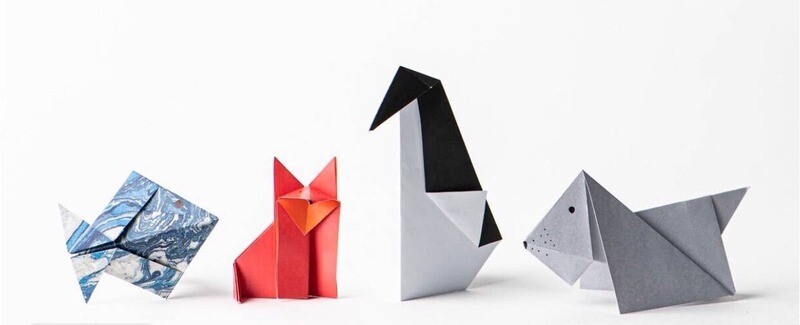 EcoKids Paper Magic Kit