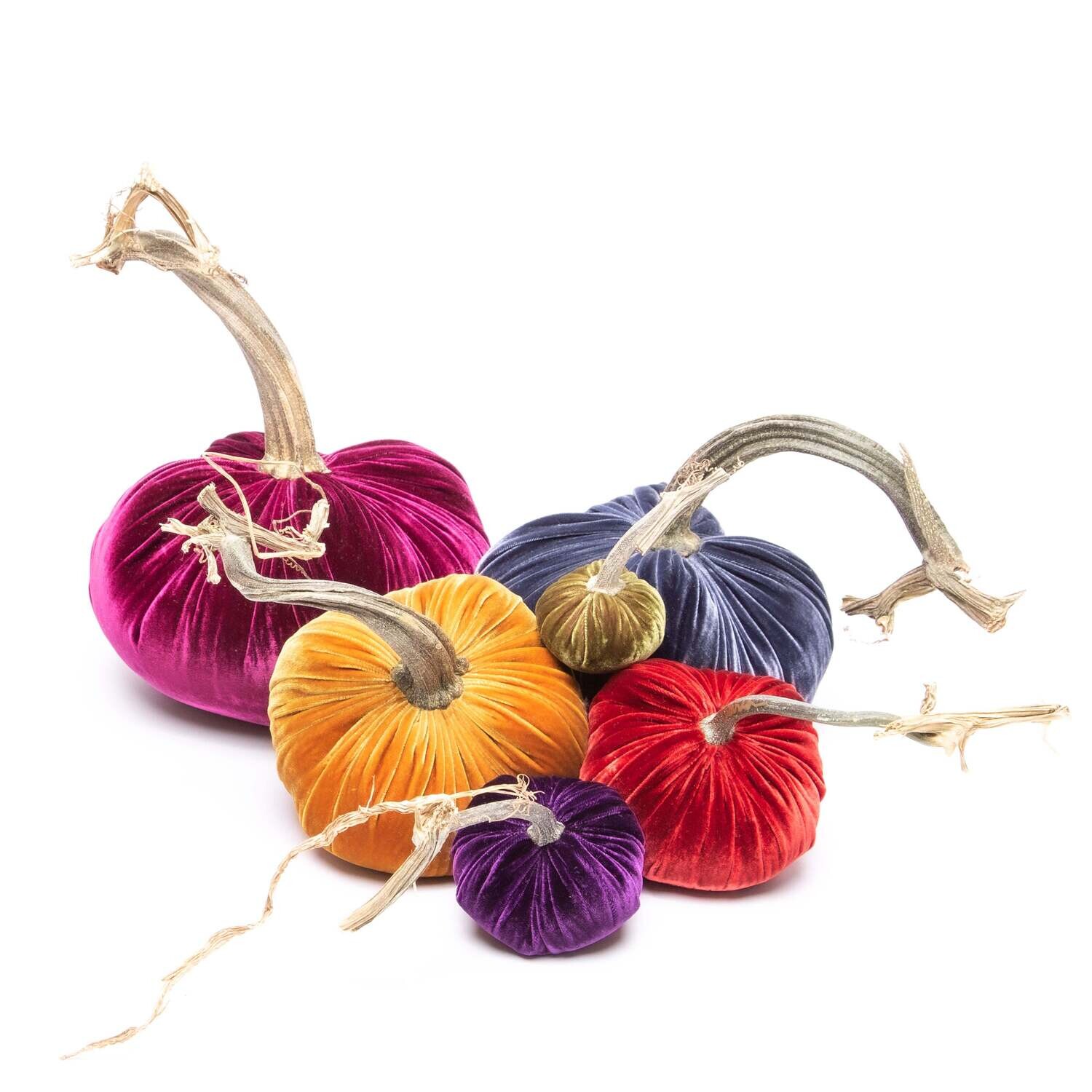 Hot Skwash Velvet Pumpkin