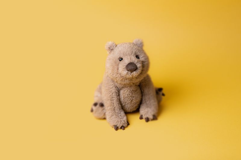 Jellycat Wonda Wombat 