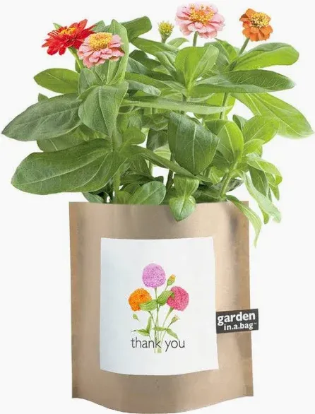 Garden In Bag