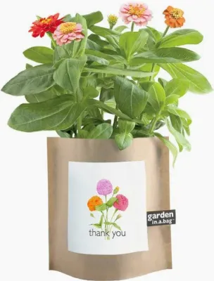 Garden In Bag