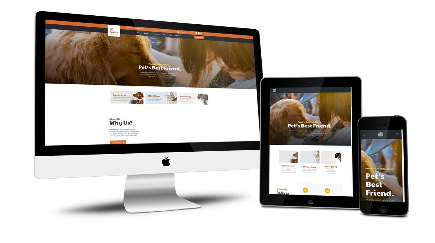 Animal Clinic - website