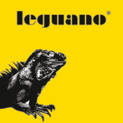 Leguano Barfußschuhe
