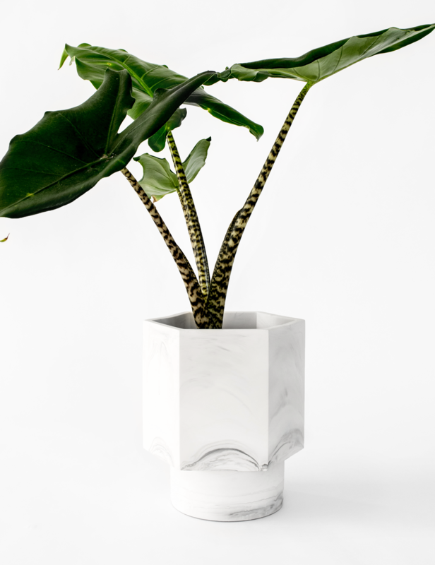 House Raccoon | Self Watering Pot - White Marble House Raccoon | Self Watering Pot - White Marble