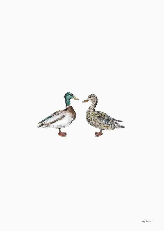 Inkylines | Postcard - Ducks