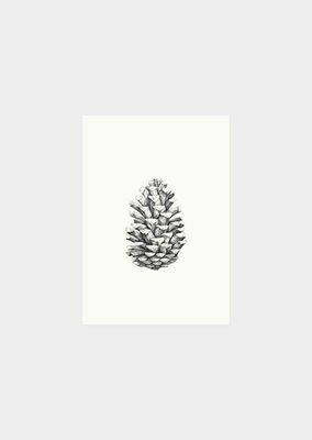 Inkylines | Pinecone Mini Card (60 x 90 mm) Inkylines | Pinecone Mini Card (60 x 90 mm)