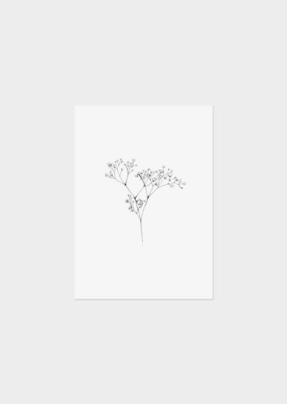 Inkylines | Gypsophila - mini card Inkylines | Gypsophila - mini card