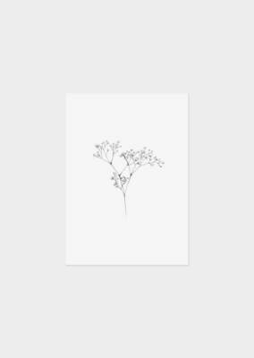 Inkylines | Gypsophila - mini card