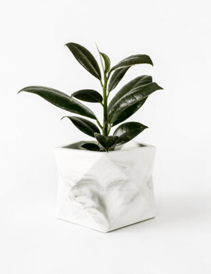Palua Marble Plant Pot Large - White marble (plant not included!)