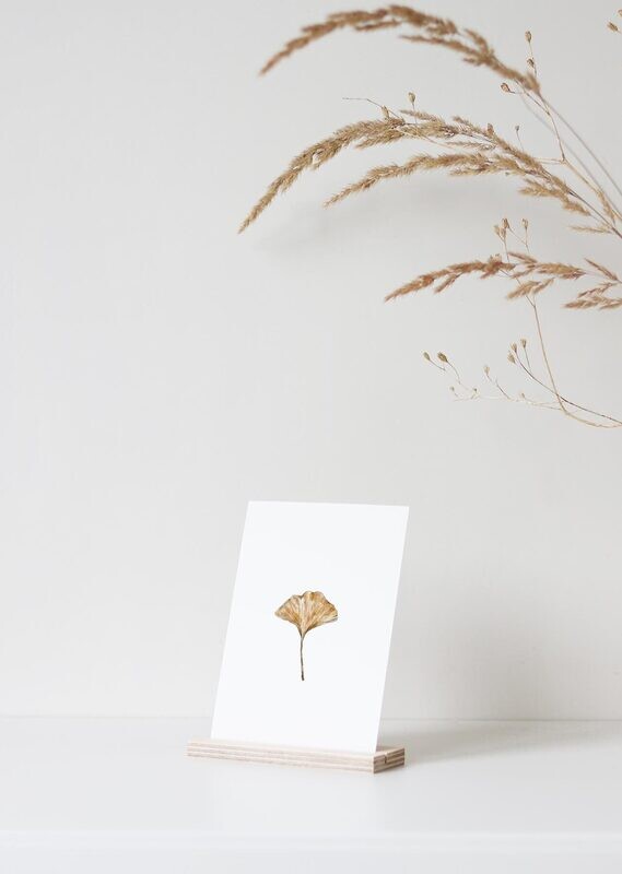 Inkylines | Ginkgo aquarel - A6 postcard Inkylines | Ginkgo aquarel - A6 postcard